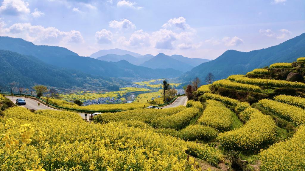 这份原生态，守住了春天最硬核的美！