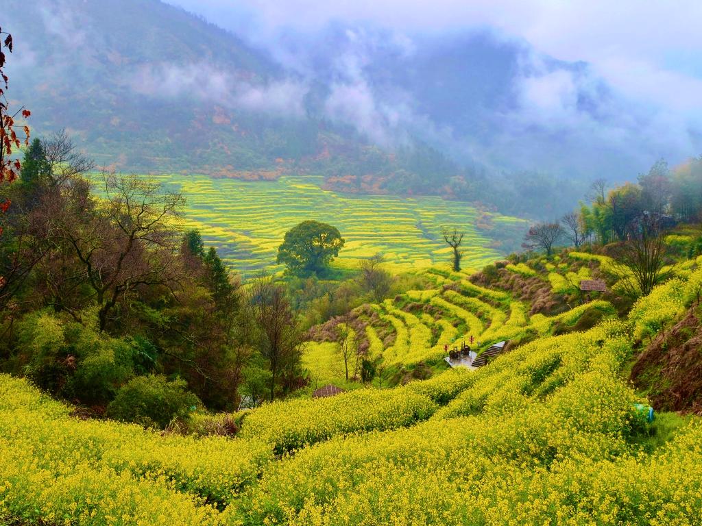 这份原生态，守住了春天最硬核的美！