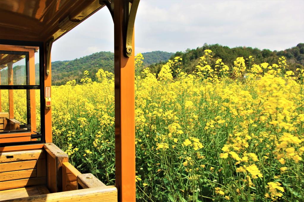 这份原生态，守住了春天最硬核的美！
